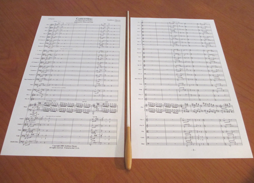 Large Ensembles